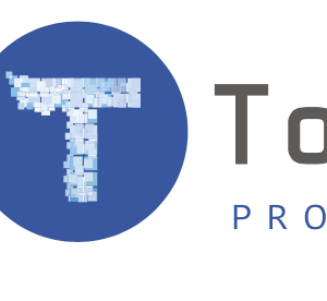 TOPPIX PRODUCTION logo